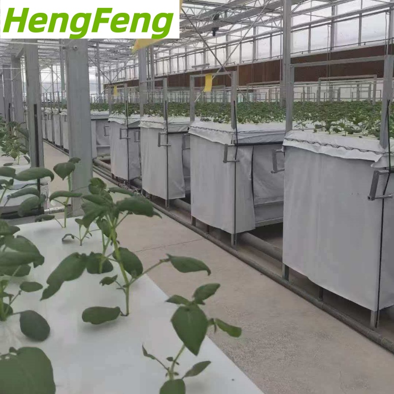 aeroponic greenhouse for dominican republic