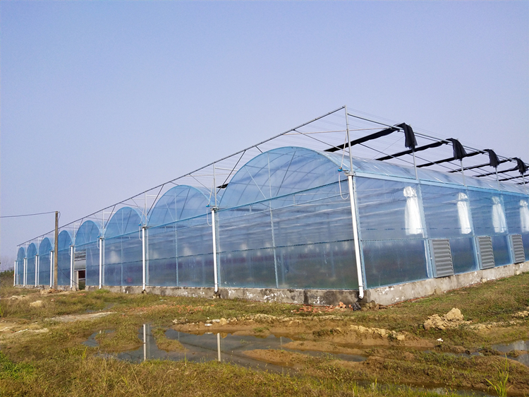 aeroponic greenhouse for dominican republic