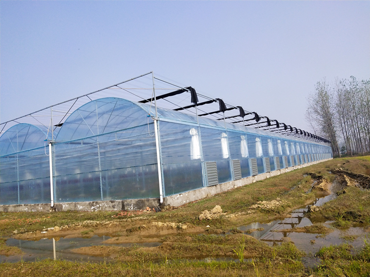 aeroponic greenhouse for dominican republic