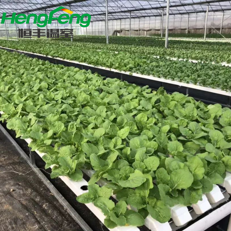 Acheter agriculture sous serre,agriculture sous serre Prix,agriculture sous serre Marques,agriculture sous serre Fabricant,agriculture sous serre Quotes,agriculture sous serre Société,