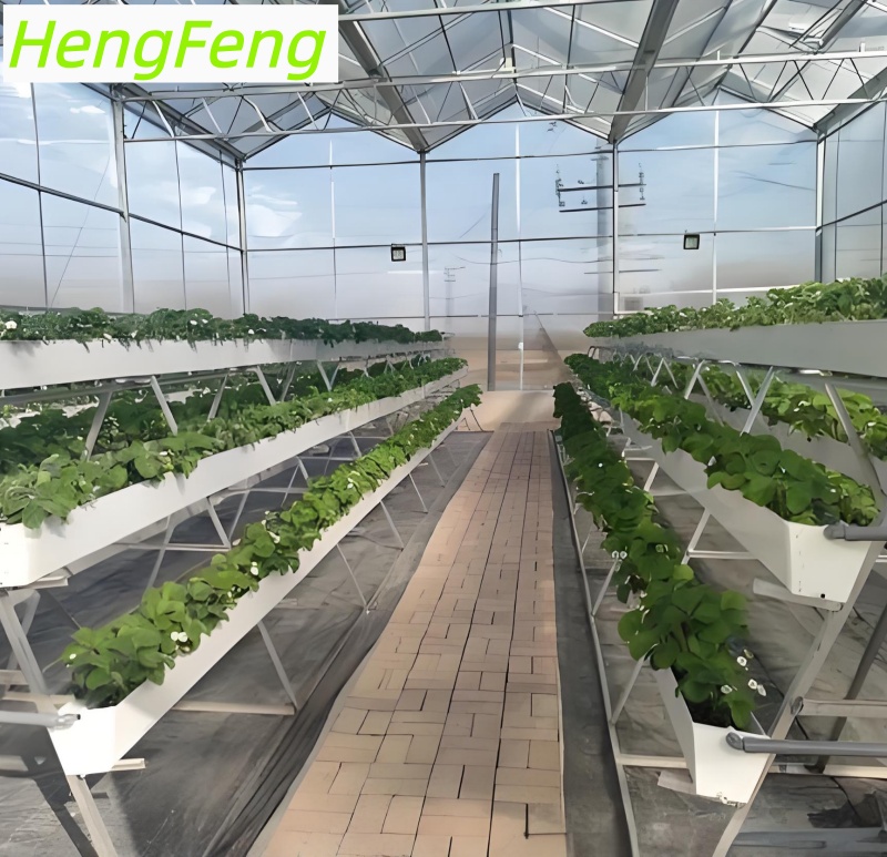 large greenhouse