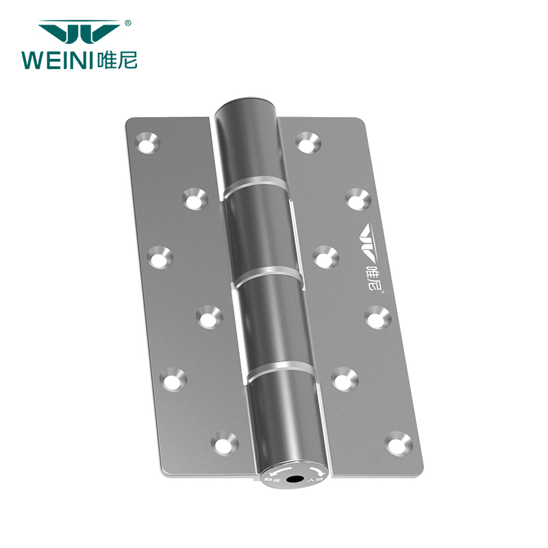 High-Performance Door Hinge with Replaceable Springs