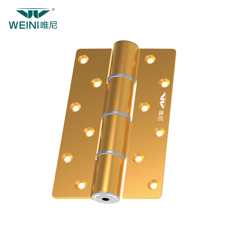 High-Performance Door Hinge with Replaceable Springs