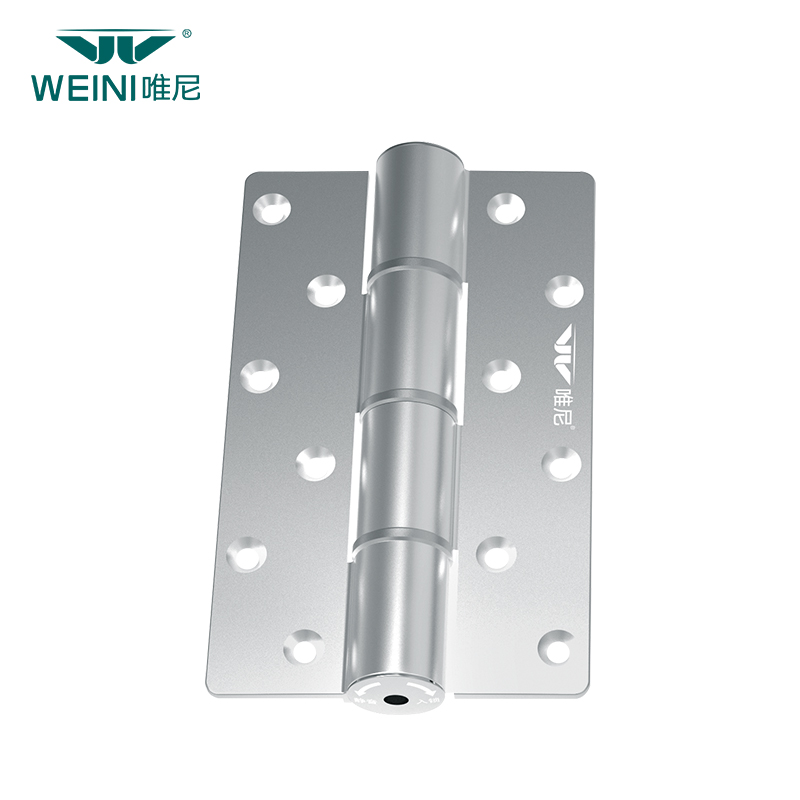 High-Performance Door Hinge with Replaceable Springs