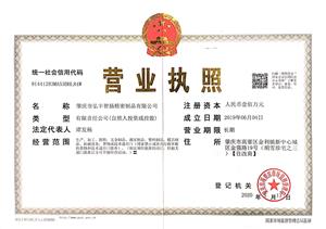Business License
