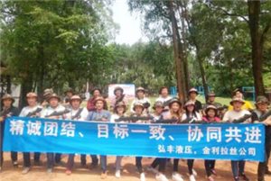 Hongfeng Zhiyang: Building a Pragmatic, Fair, and United Team for Sustainable Development