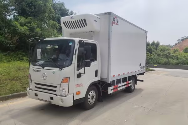 Dayun Autolpead New Energy Truck