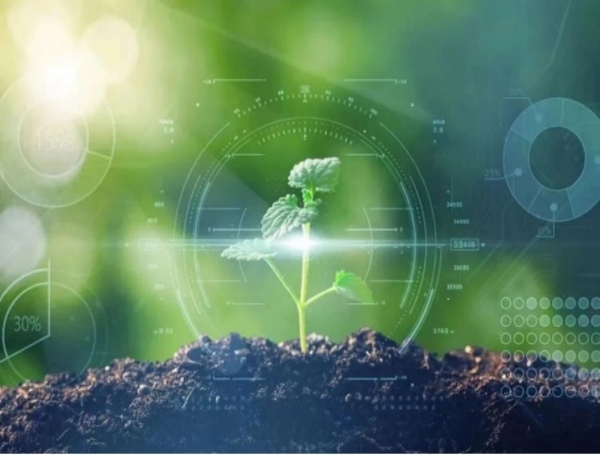 Won the title of “National Green Factory”