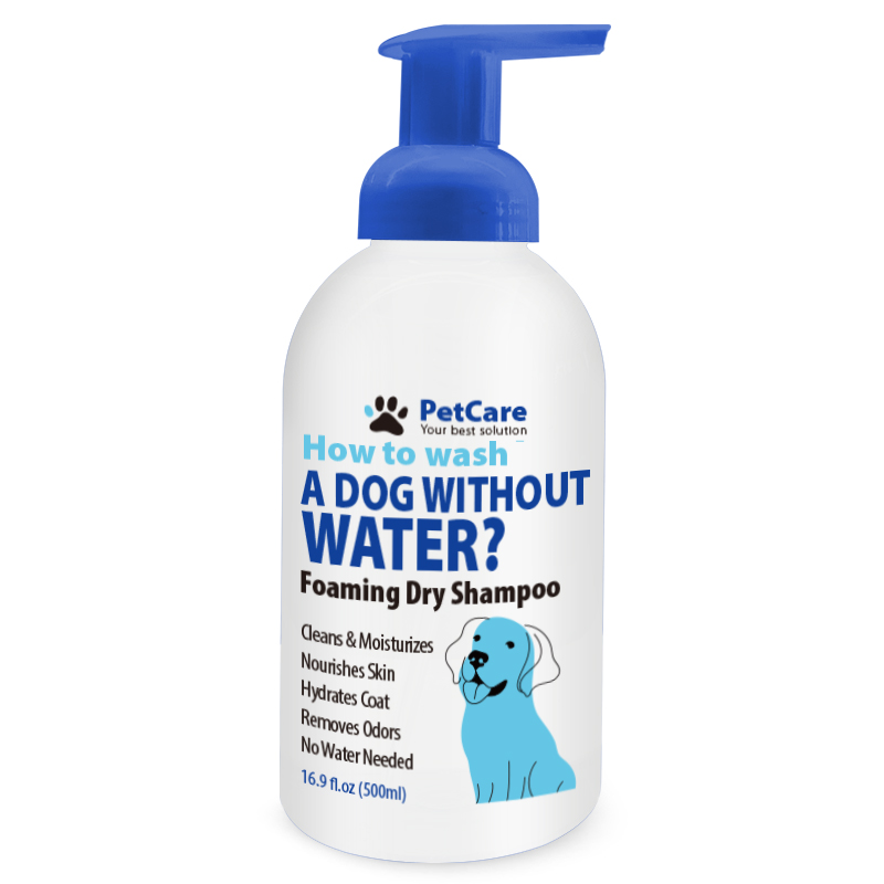 cat shampoo
