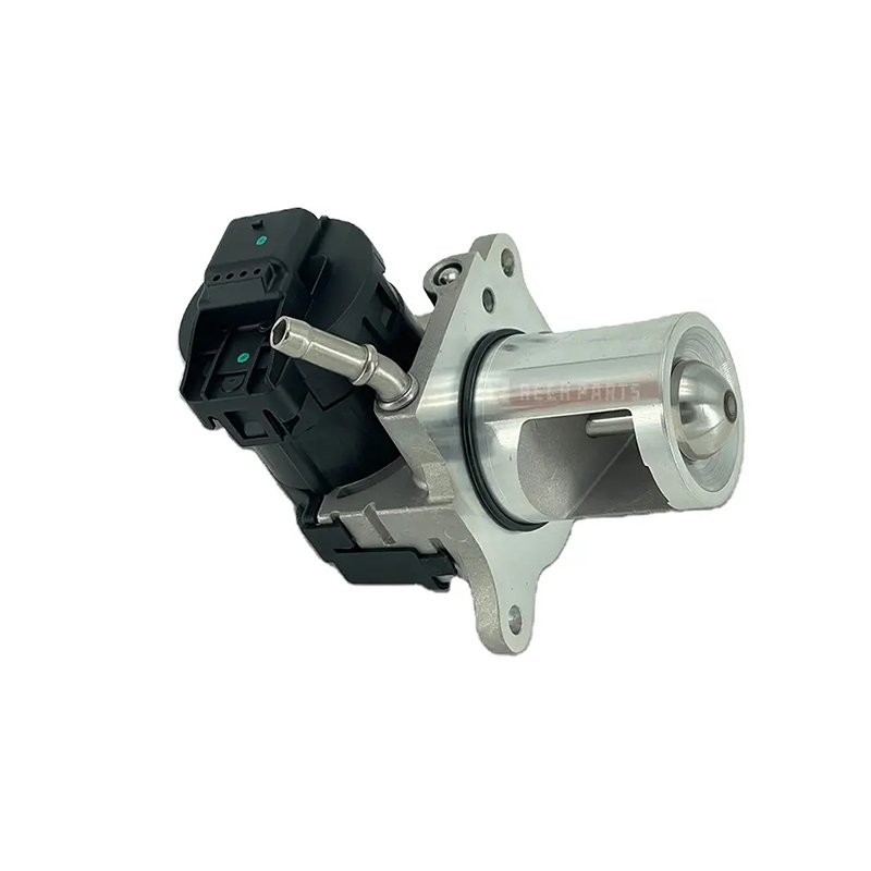 exhaust gas recirculation valve