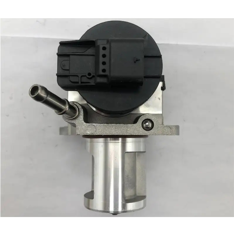 exhaust gas recirculation valve