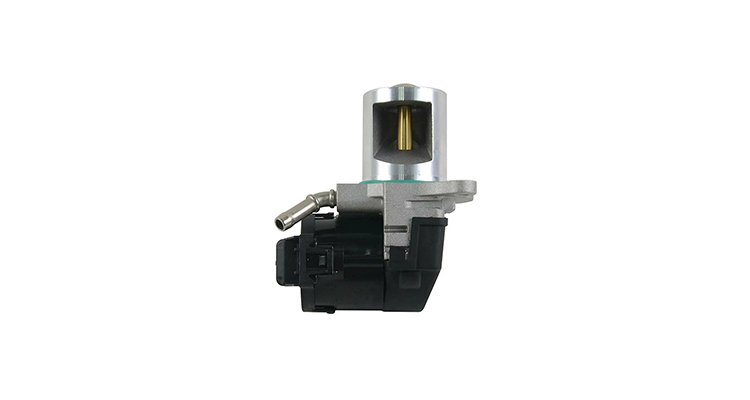exhaust gas recirculation valve