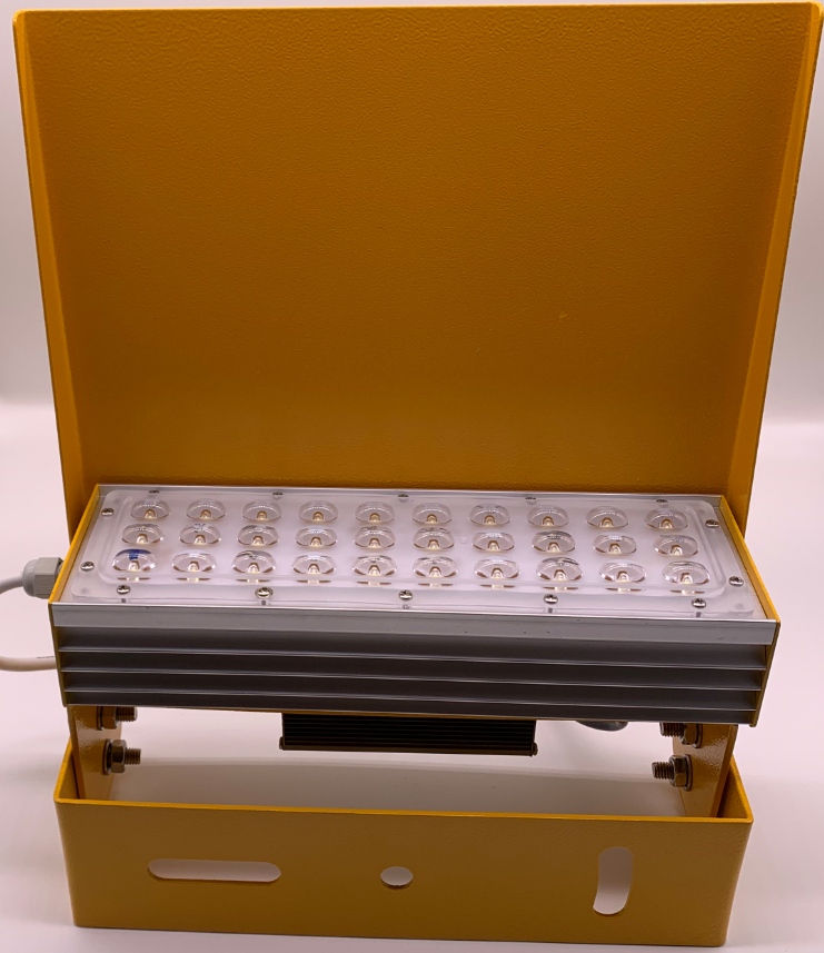 Elevated mounted illumintaed light