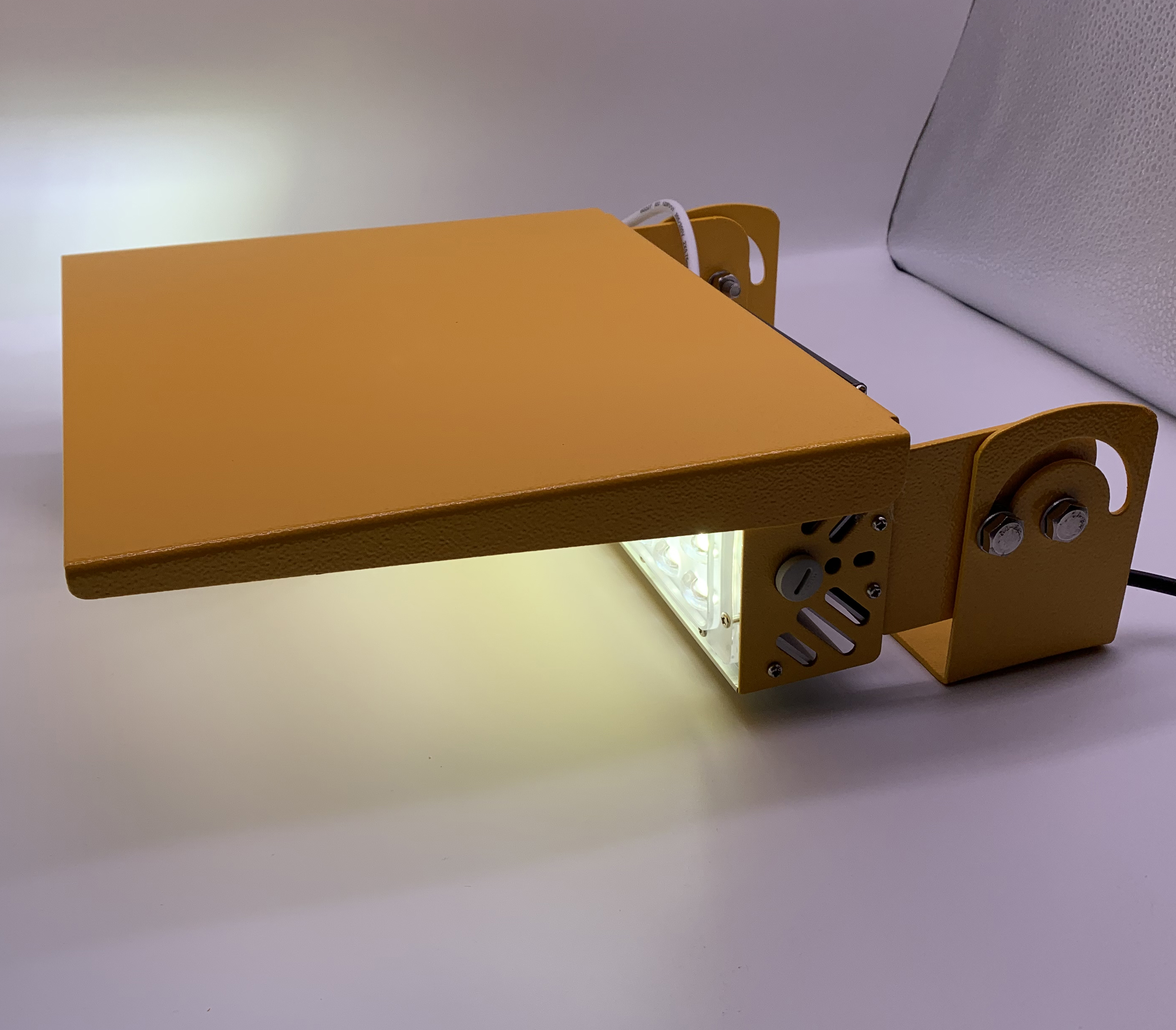 Elevated mounted illumintaed light