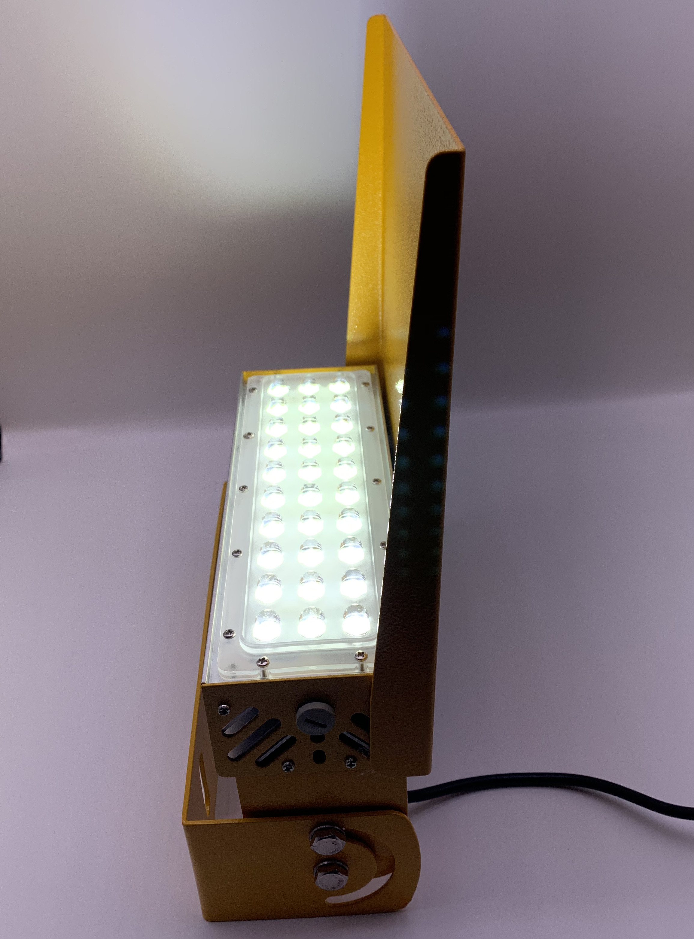 Elevated mounted illumintaed light