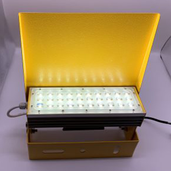 Elevated mounted illumintaed light