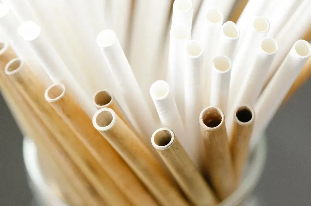 plastic pollution