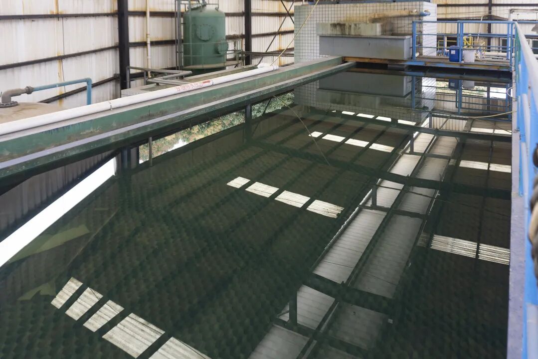 environment environment