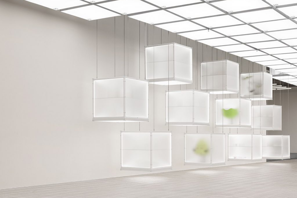 Display Fixture