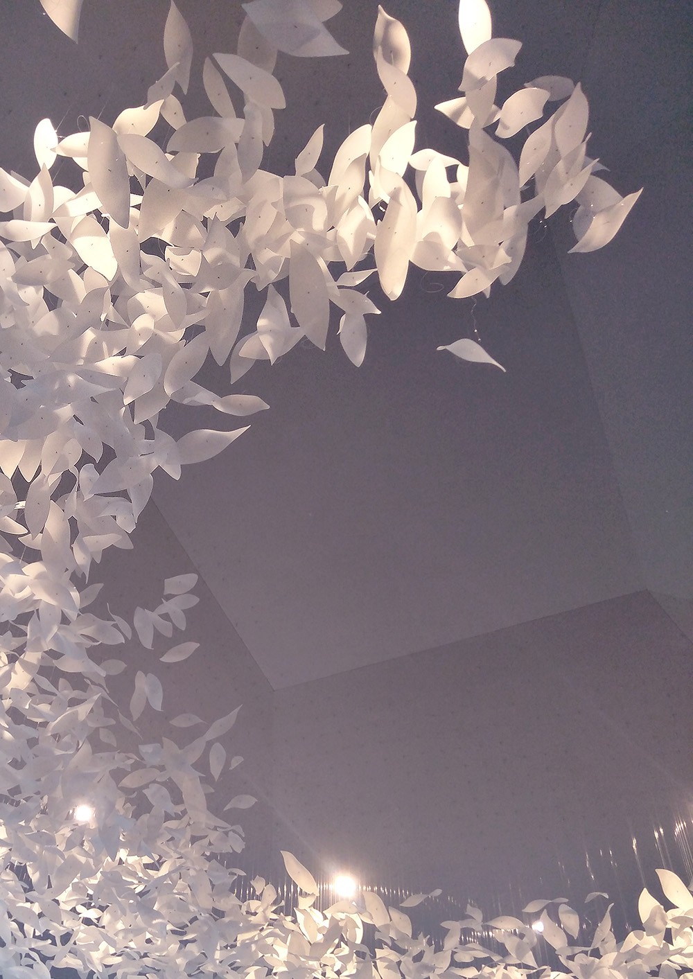 chandeliers and pendant lights