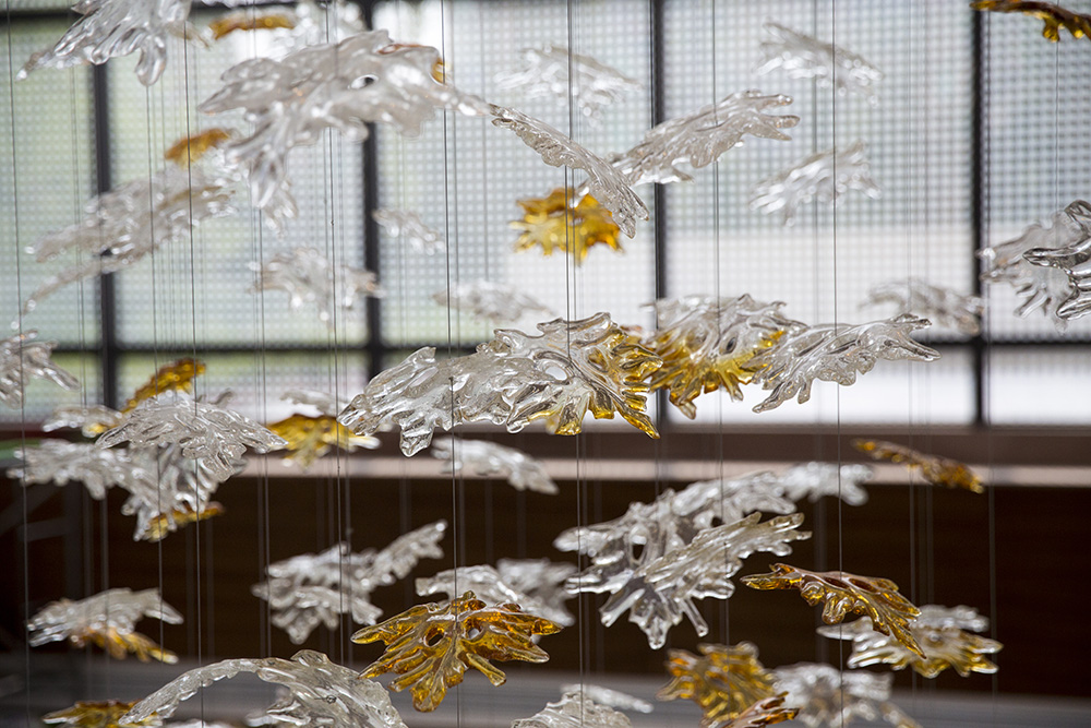 glass chandeliers