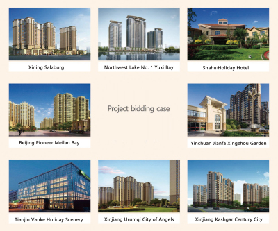 Project bidding case