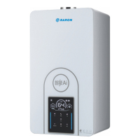 Factory Direct Sales High Efficient Wall Mounted Natural Gas Boiler