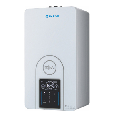 Factory Direct Sales High Efficient Wall Mounted Natural Gas Boiler