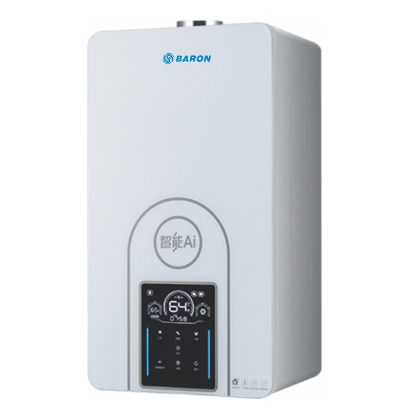 Factory Direct Sales High Efficient Wall Mounted Natural Gas Boiler