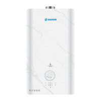 Energy-saving And Environmentally Friendly Wall Mounted Gas Boiler