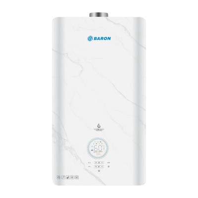 Energy-saving And Environmentally Friendly Wall Mounted Gas Boiler