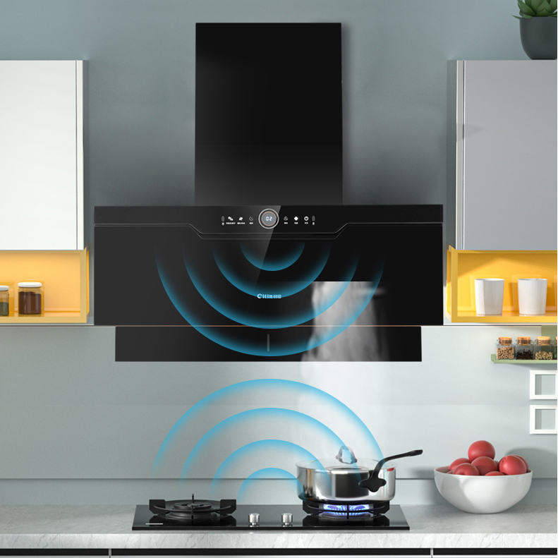 Modern Kitchen Integrated Range Hood RX901