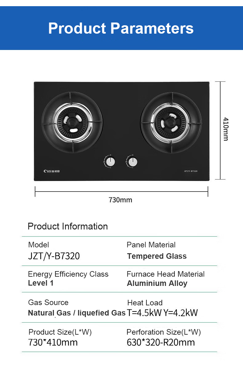 two burner gas stove