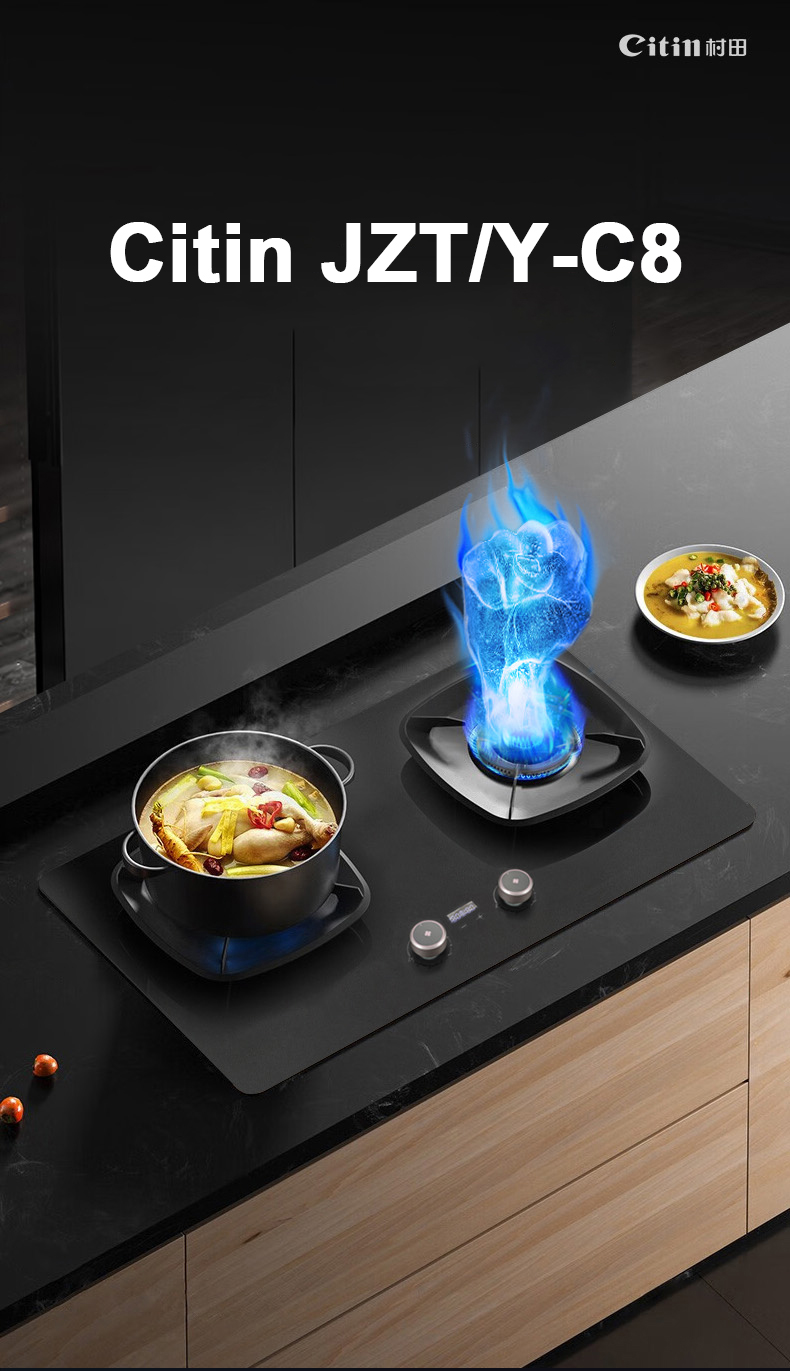 Gas Stove