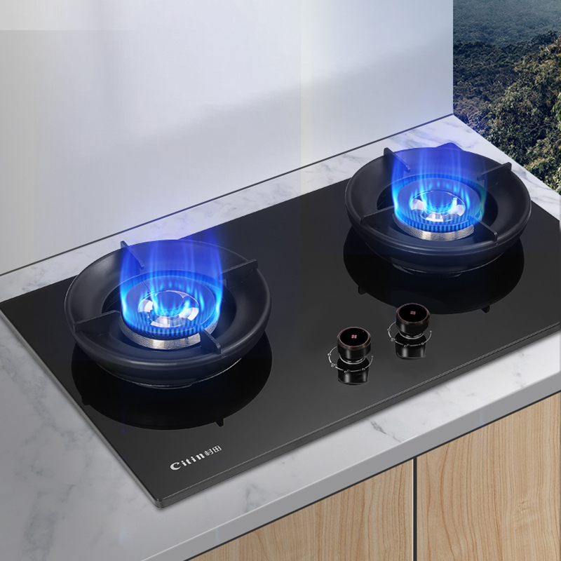 Citin Large Burner High Power Gas Stove JZTY-X7