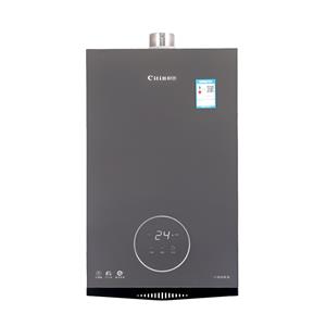 Citin JSQ25-C13 Încălzitor de apă la cerere pe gaz natural