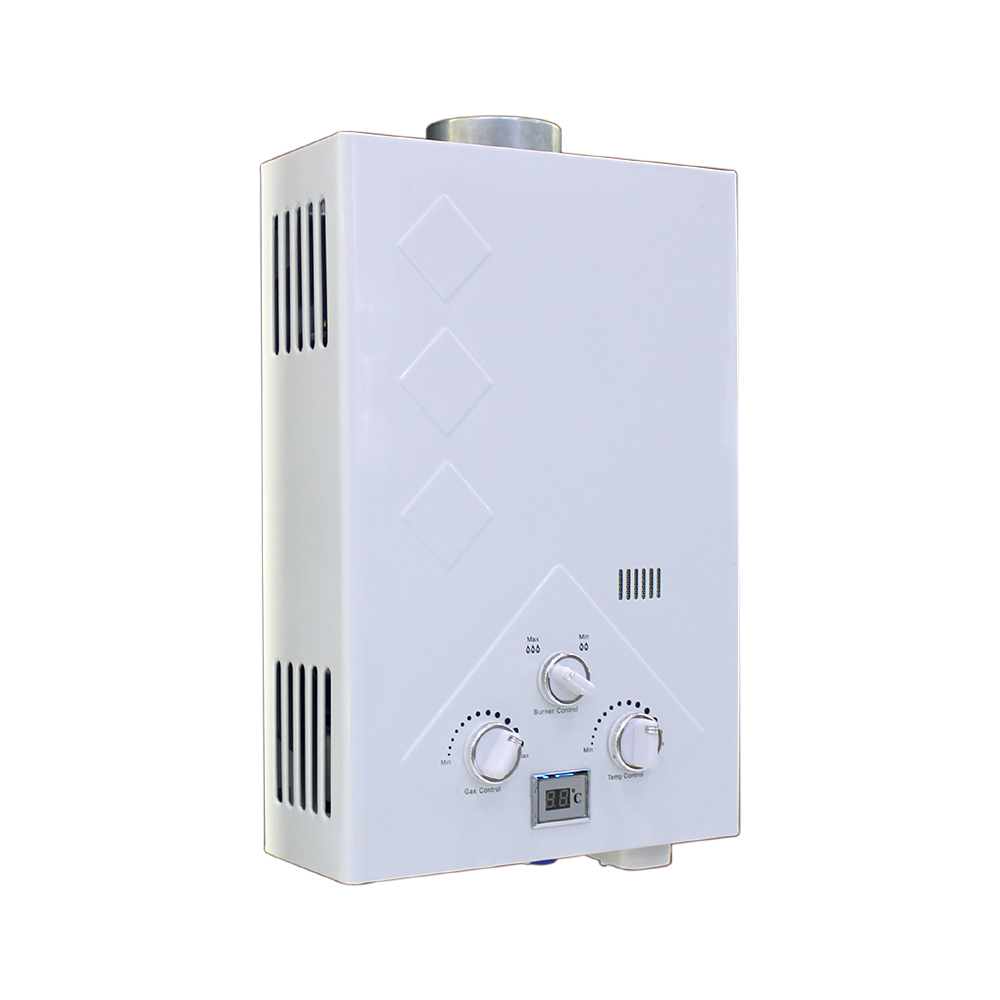 Citin Flue Duct Tankless Gas Geysers Hot Water Heater WH06Y3