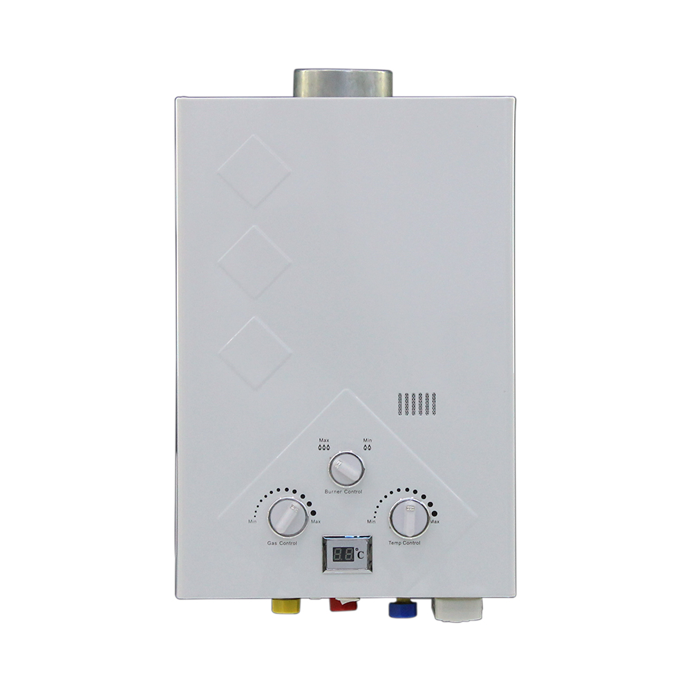 Citin Flue Duct Tankless Gas Geysers Hot Water Heater WH06Y3