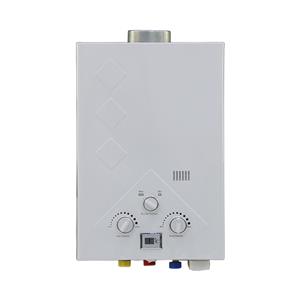 Citin Flue Duct Tankless Gas Geysers Hot Water Heater WH06Y3