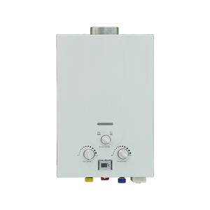 Citin Flue Duct Tankless Propane on Demand Hot Water Heater WH06Y6
