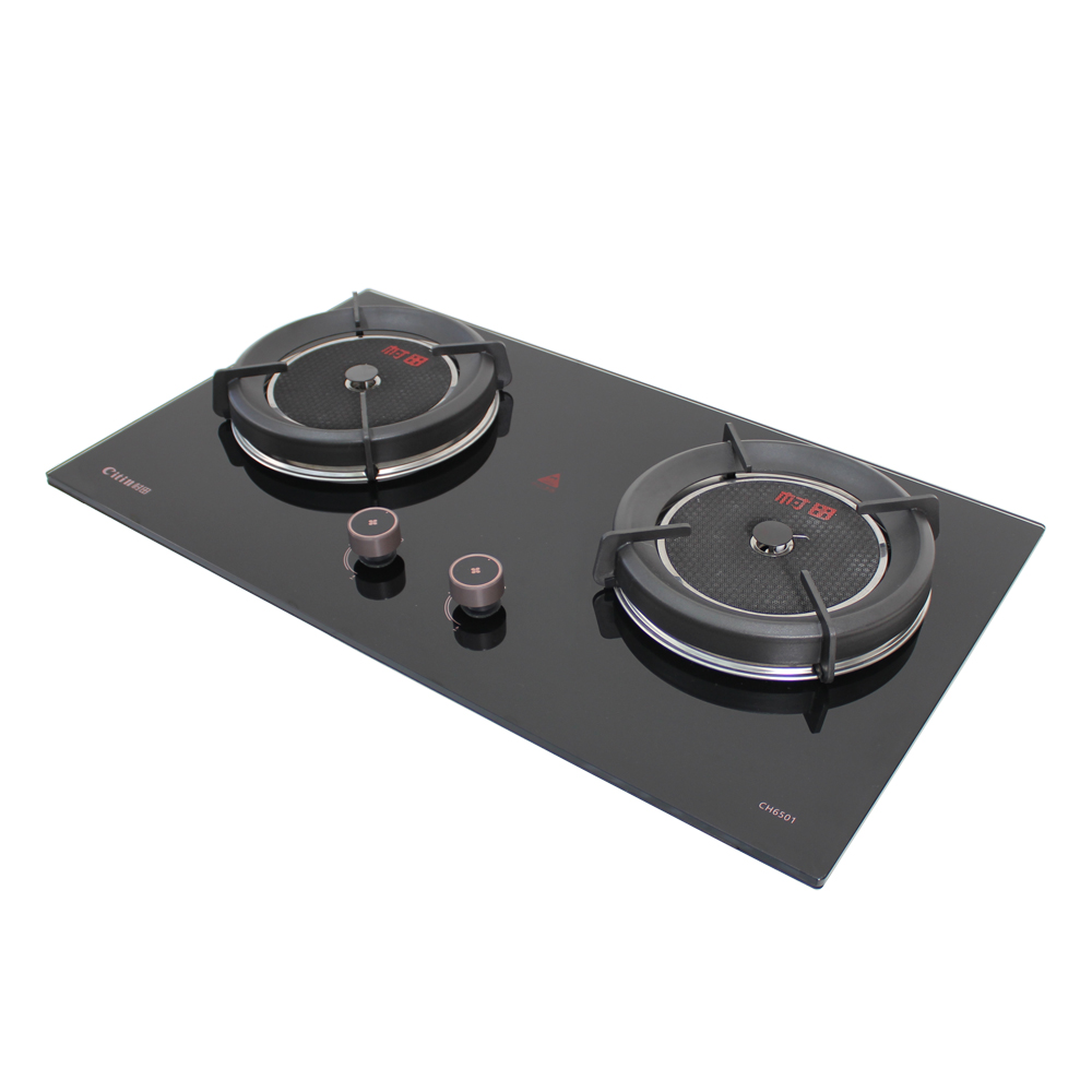Citin CH6501 Bottom Ignition 4.8kW Gas Infrared Cooker with 2 One-piece Cast Iron Burner