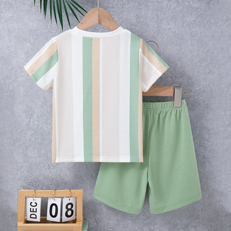 Toddler Boys Color Clash Short Sleeve T-shirt and Shorts Set