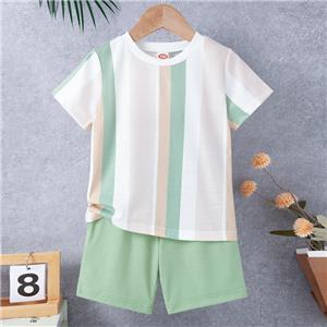 Toddler Boys Color Clash Short Sleeve T-shirt and Shorts Set