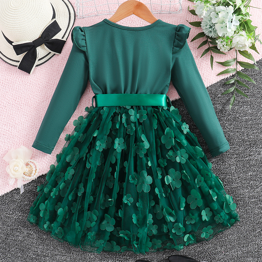 Toddler Girls Tulle Party Dress Fall Long Sleeves Flower Tutu Special Occasion Dresses for Little Girl Birthday Wedding Guest