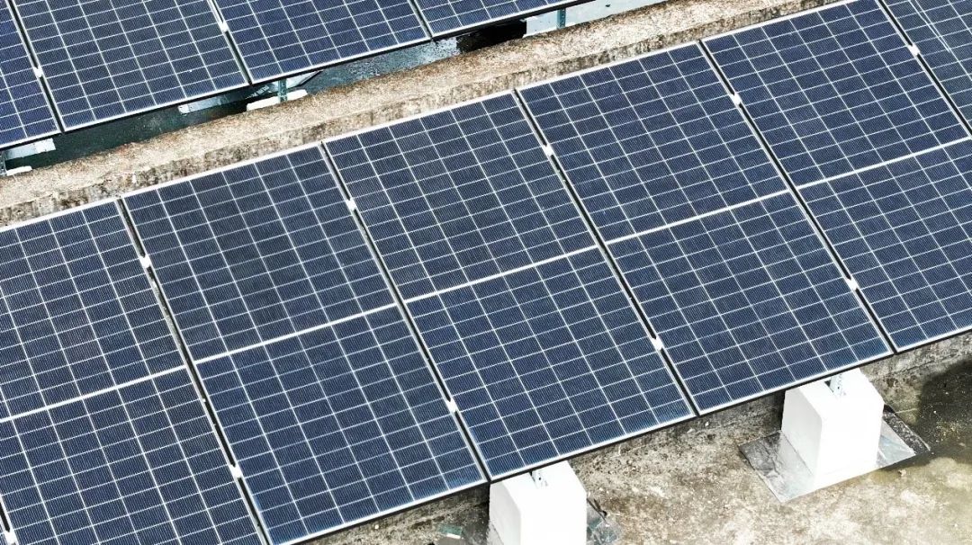 Trina Solar