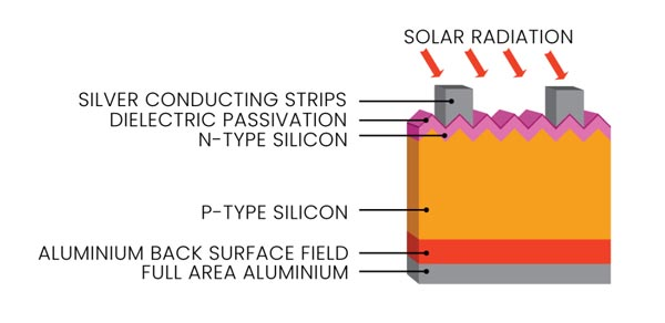N-Type VS. P-Type Solar Panels: Which One Should You Choose?