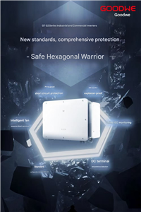 GoodWe GTG2 Inverter Commercial & Industrial Solar Inverter with Advanced Safety Protection