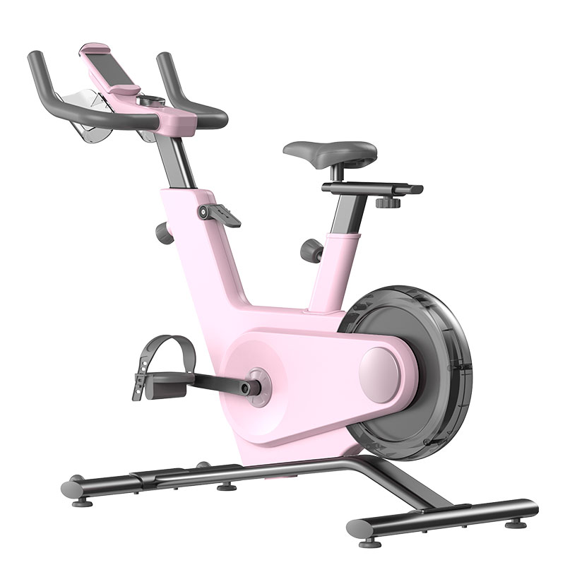 Back-drive Flywheel Spin Bike