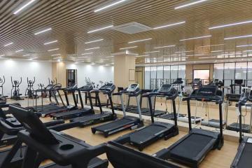 Ultimate Fitness Equipment Guide