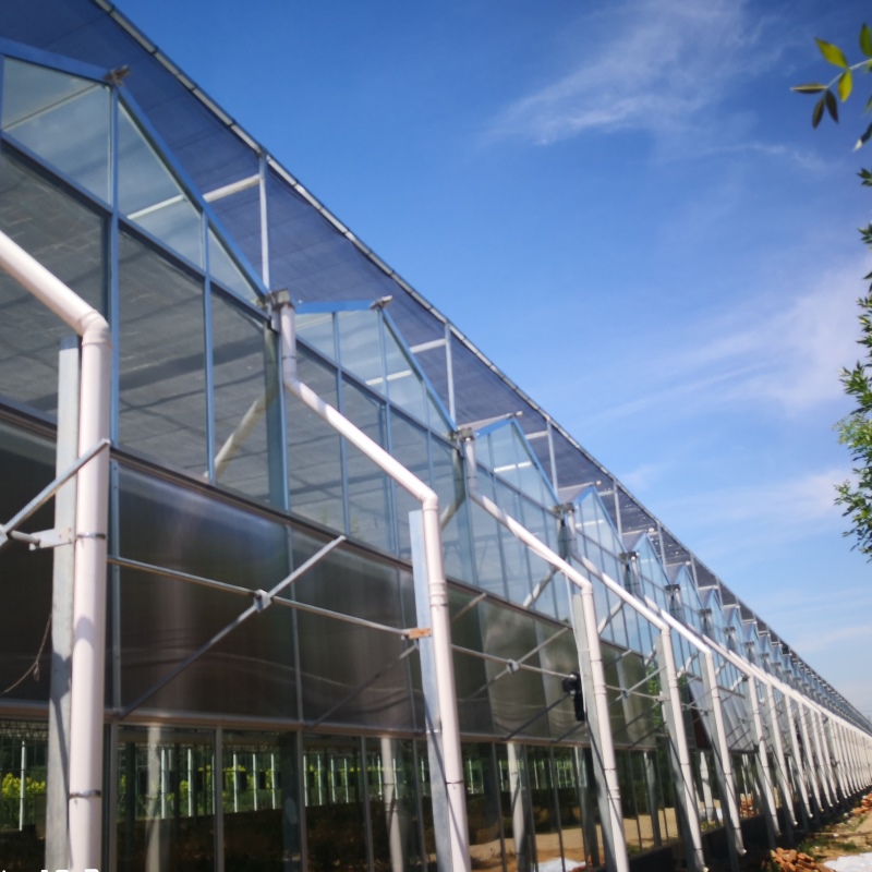 Glass Panels greenhouse